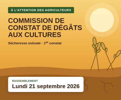 Illustration de l'actualité - cliquer pour agrandir