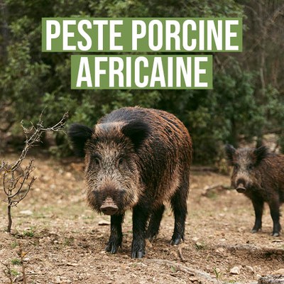 Illustration de l'actualité - cliquer pour agrandir