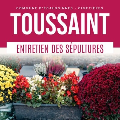Illustration de l'actualité - cliquer pour agrandir