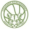 Basket Club Ecaussinnes