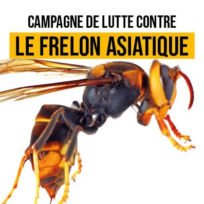 Illustration de l'actualité - cliquer pour agrandir