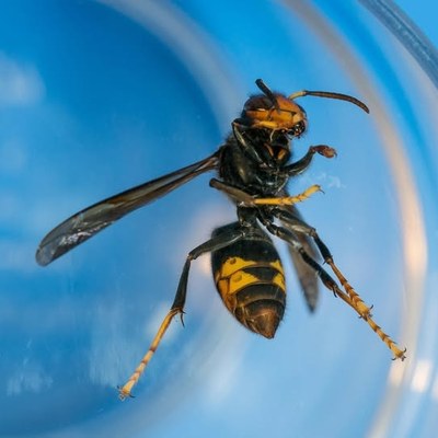 Illustration de l'actualité - cliquer pour agrandir