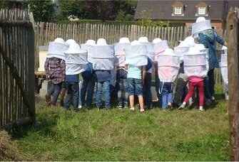 rucher_1.jpg